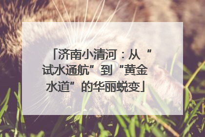 济南小清河：从“试水通航”到“黄金水道”的华丽蜕变