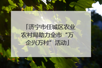济宁市任城区农业农村局助力全市“万企兴万村”活动