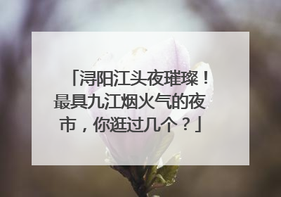 浔阳江头夜璀璨！最具九江烟火气的夜市，你逛过几个？
