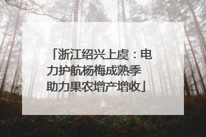 浙江绍兴上虞：电力护航杨梅成熟季 助力果农增产增收