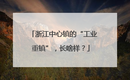 浙江中心镇的“工业重镇”，长啥样？