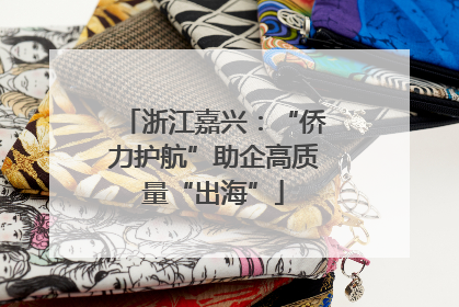 浙江嘉兴：“侨力护航”助企高质量“出海”