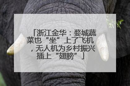 浙江金华：婺城蔬菜也“坐”上了飞机，无人机为乡村振兴插上“翅膀”