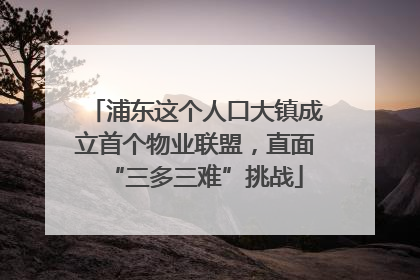 浦东这个人口大镇成立首个物业联盟，直面“三多三难”挑战