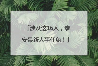 涉及这16人，泰安最新人事任免！