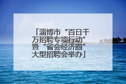 淄博市“百日千万招聘专项行动”暨“省会经济圈”大型招聘会举办