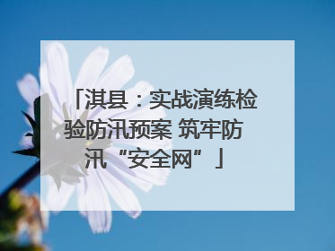 淇县：实战演练检验防汛预案 筑牢防汛“安全网”
