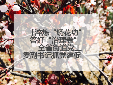 淬炼“绣花功” 答好“治理卷”——全省街道党工委副书记抓党建促基层治理培训示范班侧记