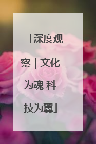 深度观察｜文化为魂 科技为翼