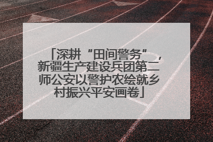 深耕“田间警务”，新疆生产建设兵团第二师公安以警护农绘就乡村振兴平安画卷