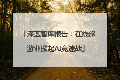 深蓝智库报告：在线旅游业掀起AI竞速战