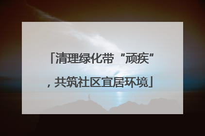 清理绿化带“顽疾”，共筑社区宜居环境