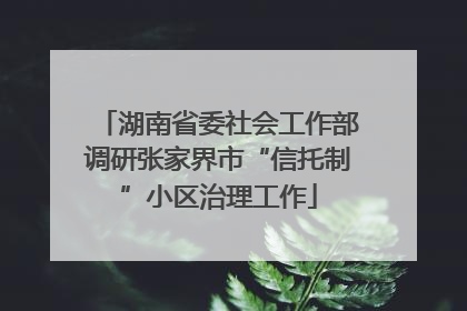 湖南省委社会工作部调研张家界市“信托制”小区治理工作