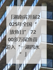 湖南省开展2025年全国“放鱼日” 7200多万尾鱼苗游入“一湖四水”
