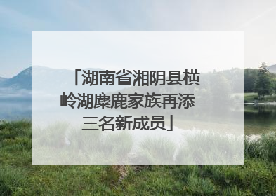 湖南省湘阴县横岭湖麋鹿家族再添三名新成员