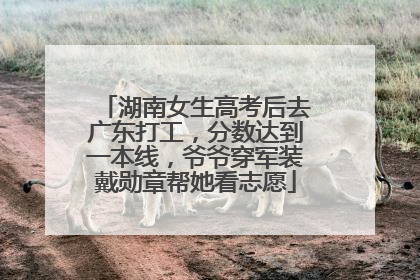 湖南女生高考后去广东打工，分数达到一本线，爷爷穿军装戴勋章帮她看志愿