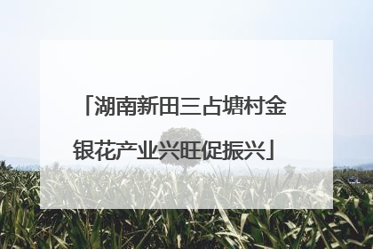 湖南新田三占塘村金银花产业兴旺促振兴