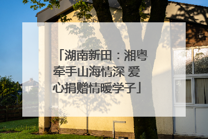 湖南新田：湘粤牵手山海情深 爱心捐赠情暖学子