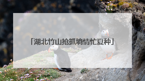 湖北竹山抢抓墒情忙夏种