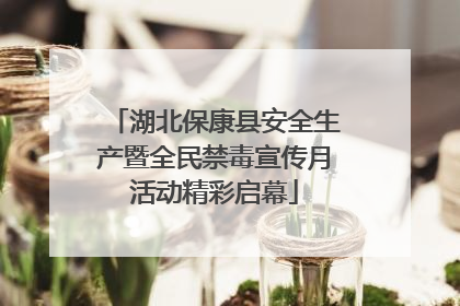 湖北保康县安全生产暨全民禁毒宣传月活动精彩启幕