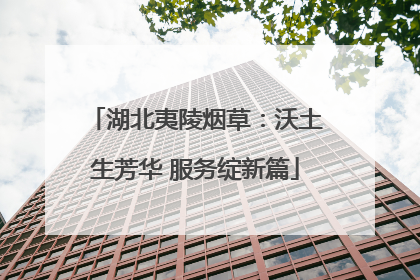 湖北夷陵烟草：沃土生芳华 服务绽新篇