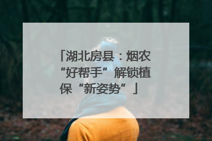 湖北房县：烟农“好帮手”解锁植保“新姿势”