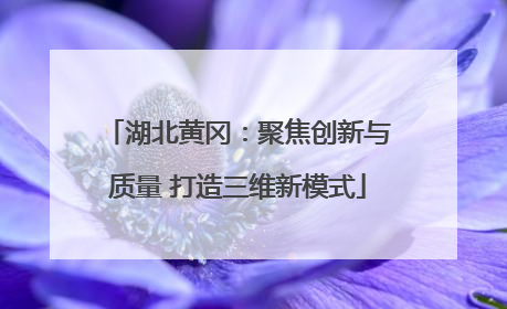 湖北黄冈：聚焦创新与质量 打造三维新模式