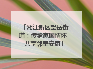 湘江新区望岳街道：传承家国情怀 共享邻里安康