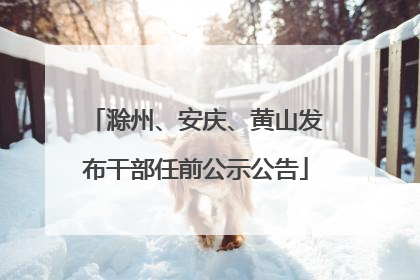 滁州、安庆、黄山发布干部任前公示公告