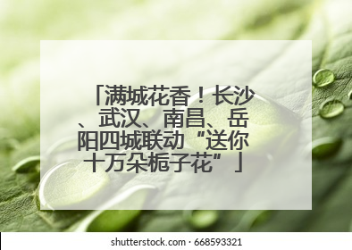 满城花香！长沙、武汉、南昌、岳阳四城联动“送你十万朵栀子花”