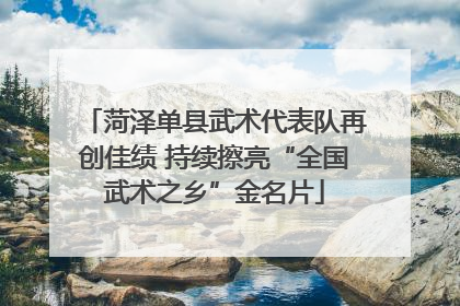 菏泽单县武术代表队再创佳绩 持续擦亮“全国武术之乡”金名片