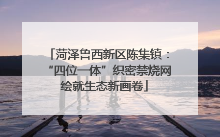 菏泽鲁西新区陈集镇：“四位一体”织密禁烧网 绘就生态新画卷