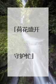 荷花盛开守护忙