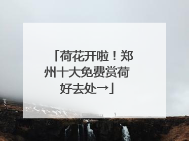 荷花开啦！郑州十大免费赏荷好去处→