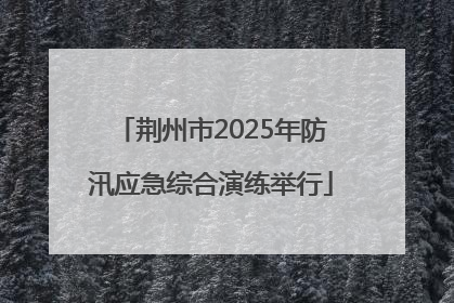 荆州市2025年防汛应急综合演练举行