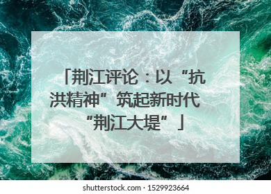 荆江评论：以“抗洪精神”筑起新时代“荆江大堤”