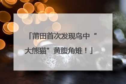 莆田首次发现鸟中“大熊猫”黄腹角雉！
