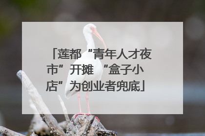 莲都“青年人才夜市”开摊 “盒子小店”为创业者兜底