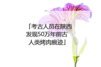 考古人员在陕西发现50万年前古人类烤肉痕迹