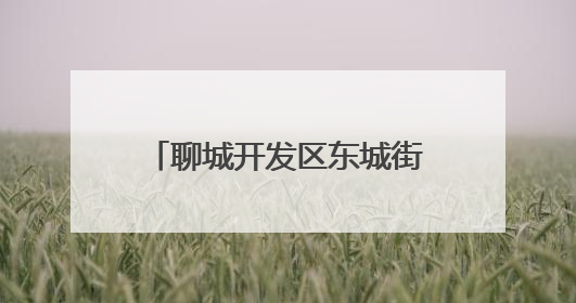 聊城开发区东城街道：“三链融合”激活基层治理新动能