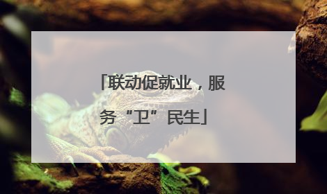 联动促就业，服务“卫”民生