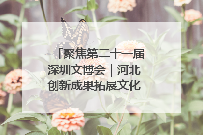 聚焦第二十一届深圳文博会｜河北创新成果拓展文化产业“朋友圈”