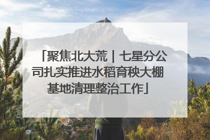 聚焦北大荒｜七星分公司扎实推进水稻育秧大棚基地清理整治工作