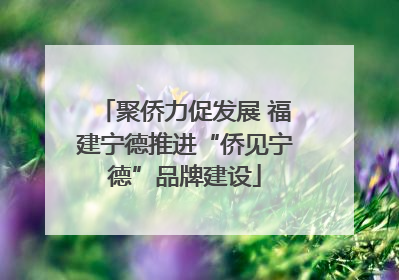聚侨力促发展 福建宁德推进“侨见宁德”品牌建设