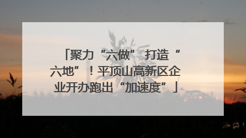 聚力“六做” 打造“六地”！平顶山高新区企业开办跑出“加速度”