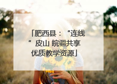 肥西县：“连线”皮山 皖疆共享优质教学资源