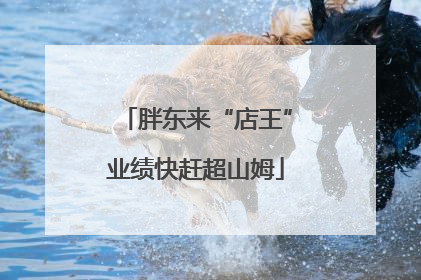 胖东来“店王”业绩快赶超山姆