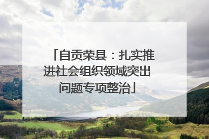 自贡荣县：扎实推进社会组织领域突出问题专项整治