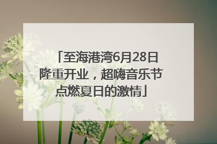 至海港湾6月28日隆重开业，超嗨音乐节点燃夏日的激情