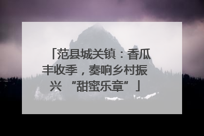 范县城关镇：香瓜丰收季，奏响乡村振兴 “甜蜜乐章”